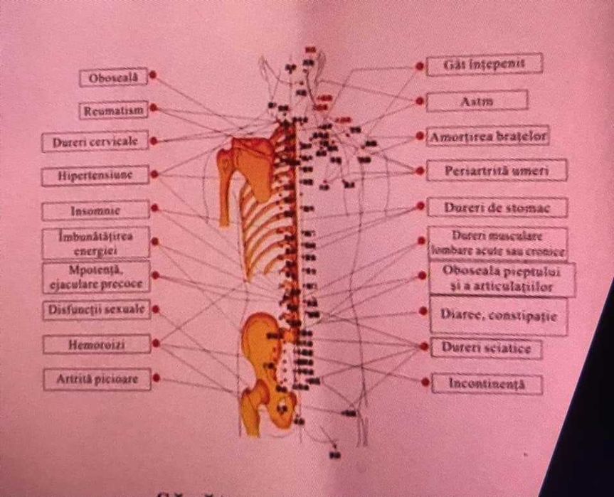 Perna masaj germana "Shiatsu infra" multifunctionala-noua