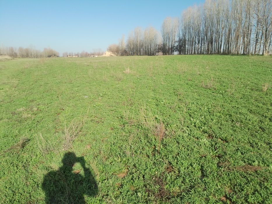 Бука мфй  Уй сотилади 5 хонали гараж бог