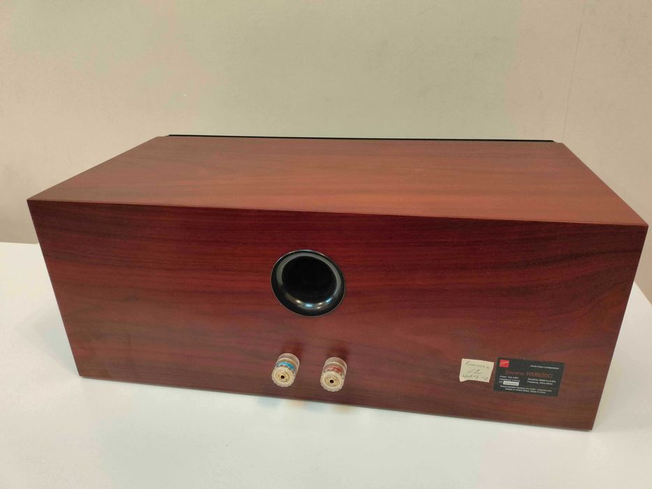 Центральная колонка SWANS RM600C