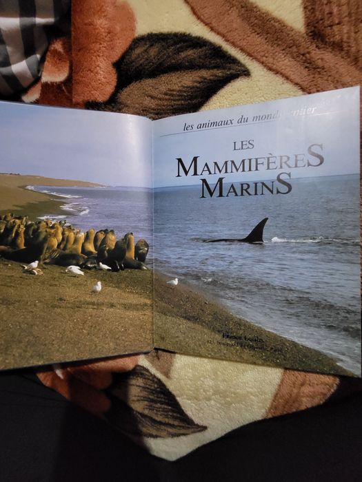 Carte ilustrată Les Mammifères Marins – 1986, France Loisirs