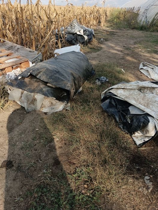 Почистване на мази тавански помещтения