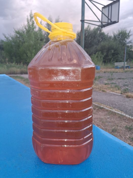 Продам мёд горный лесной