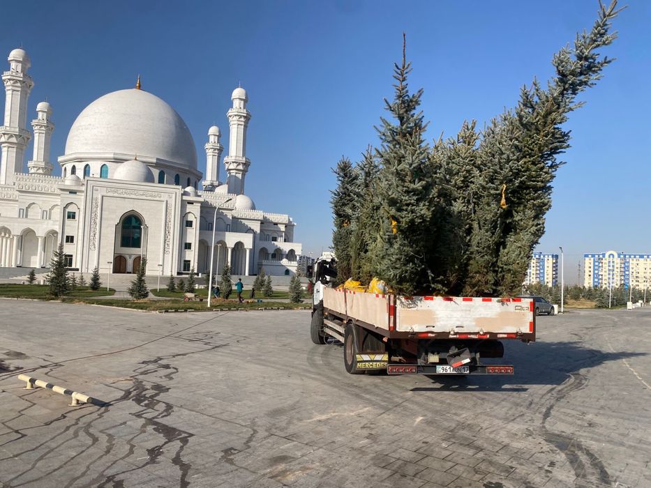 Услуга Манипулятора Шымкент