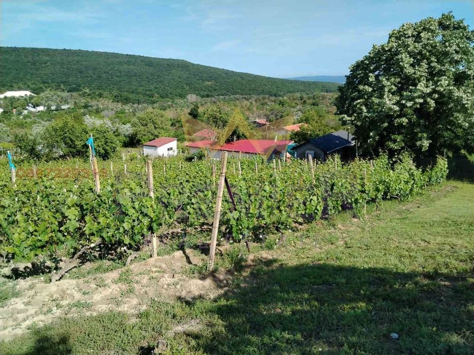 Парцел в Варна, област-с.Калиманци