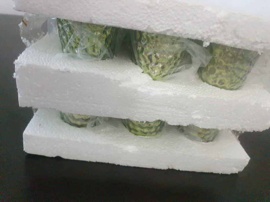 Pahare pentru lumanari verzi noi 12 buc