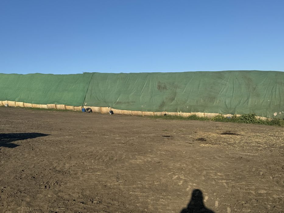 Baloti de paie 135/120 de vanzare !!!