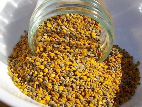 Пыльца  пчелинная Катон-Карагай