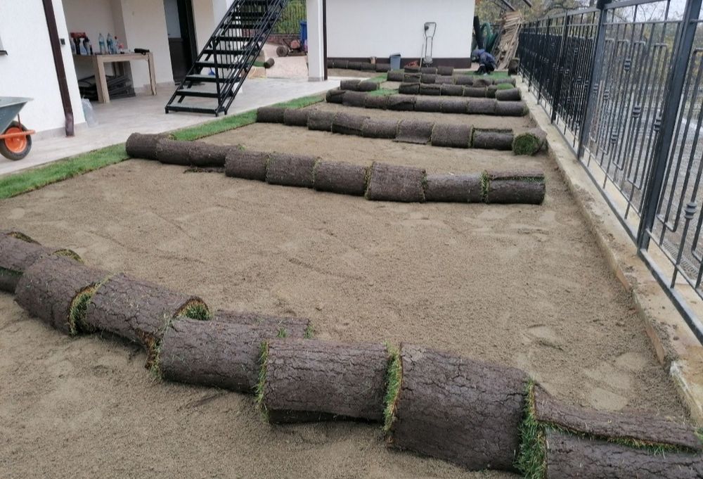 Gazon rulou de trafic. 24 de lei m2.Transport si montaj inclus în preț