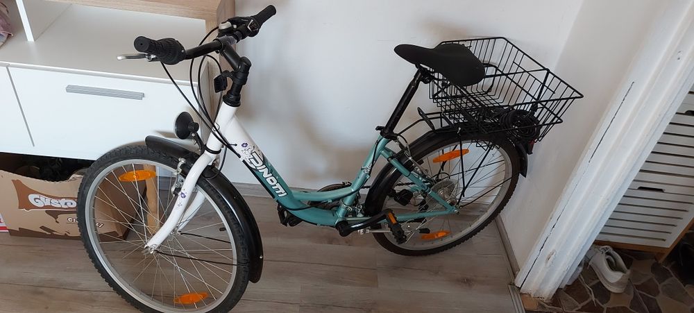 Bicicletă dinotti