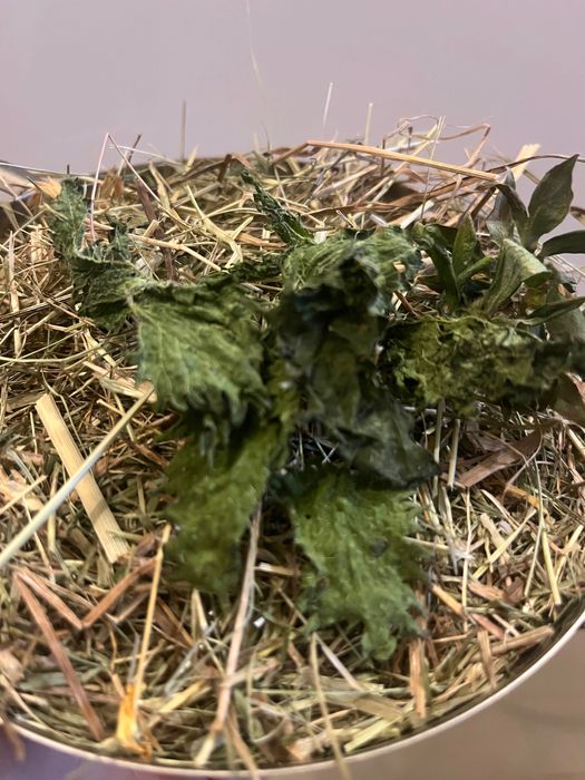 Сено/ Люцерна/ Микс храна за малки и големи зайчета