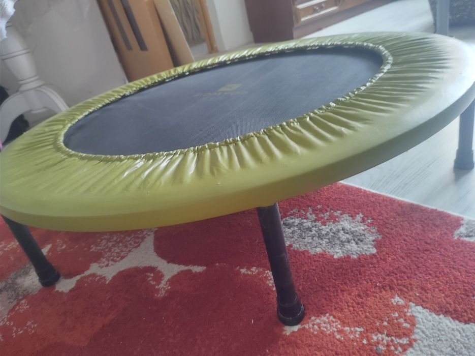 Trambulina 102 cm diametru