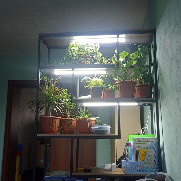 Мастер на час-отличный помощник для Вас