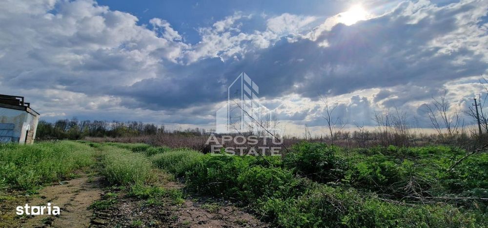 Teren intravilan , curent , apa , nr de casa Sacosu Turcesc