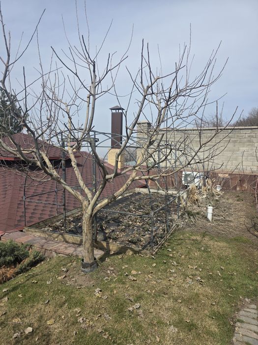 Каркас теплицы 6×3м