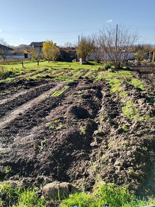 Продава се Парцел в с. Дибич, Област Шумен - 720 кв.м за 44 €/кв.м - Снимка #3