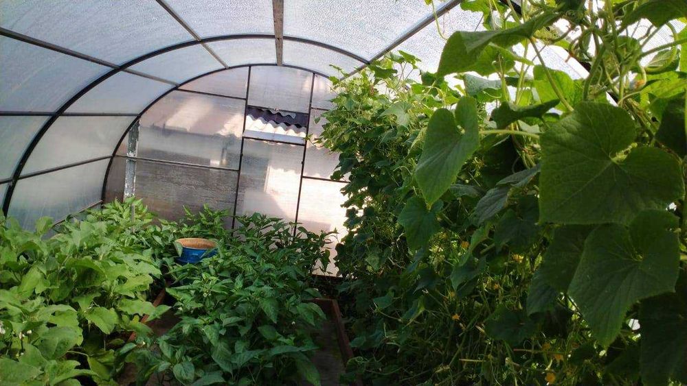 Продаётся 4-х комнатный дом