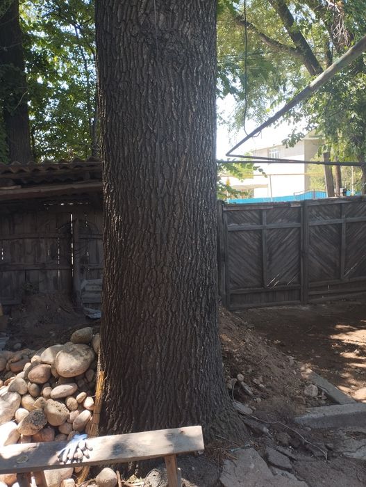 Продам дуб на мебель