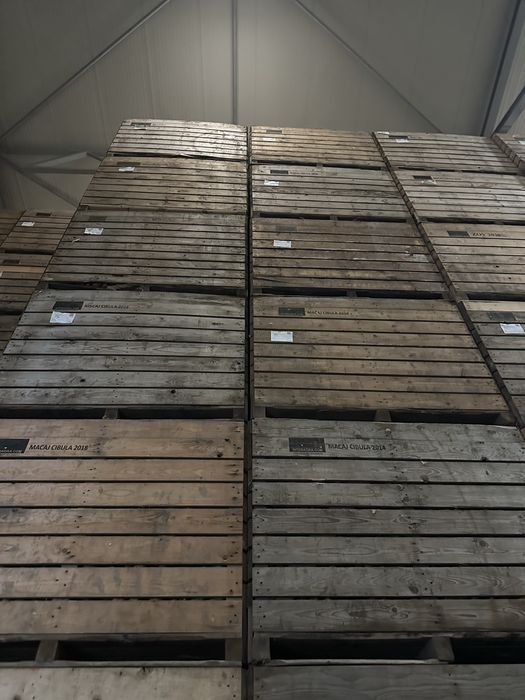 Ceapă diamanta calibru mare