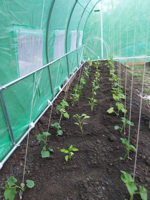 Vănd seră din imagine!