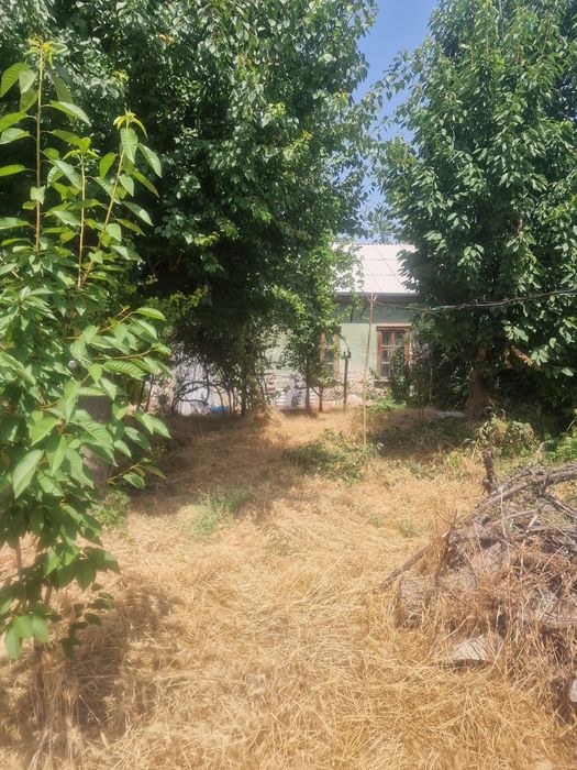 Участок с домом Ташкентская область