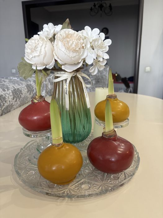 Луковицы Амариллиса. Свежие в наличии