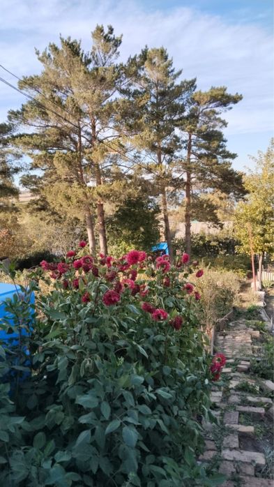 Продам дачу на правом берегу