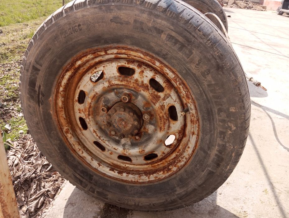 Соболь задниймость собл Sobol zadnimost sobl