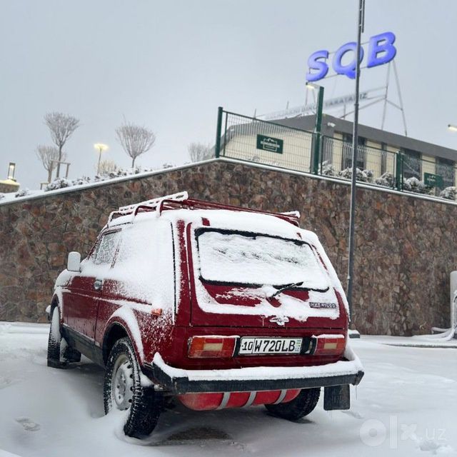 Niva legen sotiladi