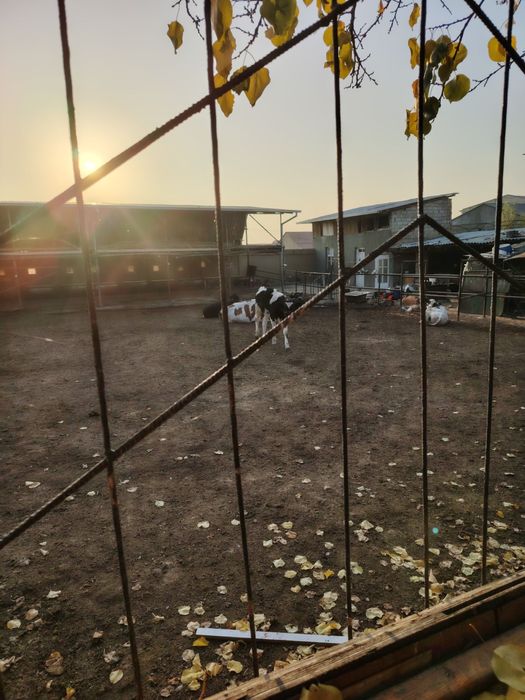 Срочно продается земля с готовым бизнесом 8 соток