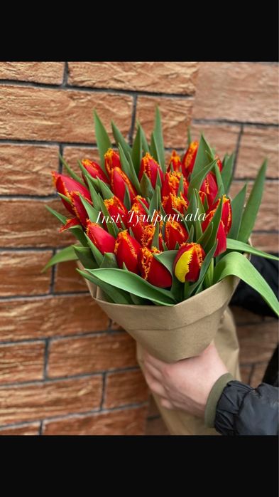 Тюльпаны оптом с теплицы!