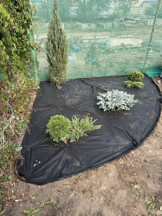 Ландшафтный дизайн