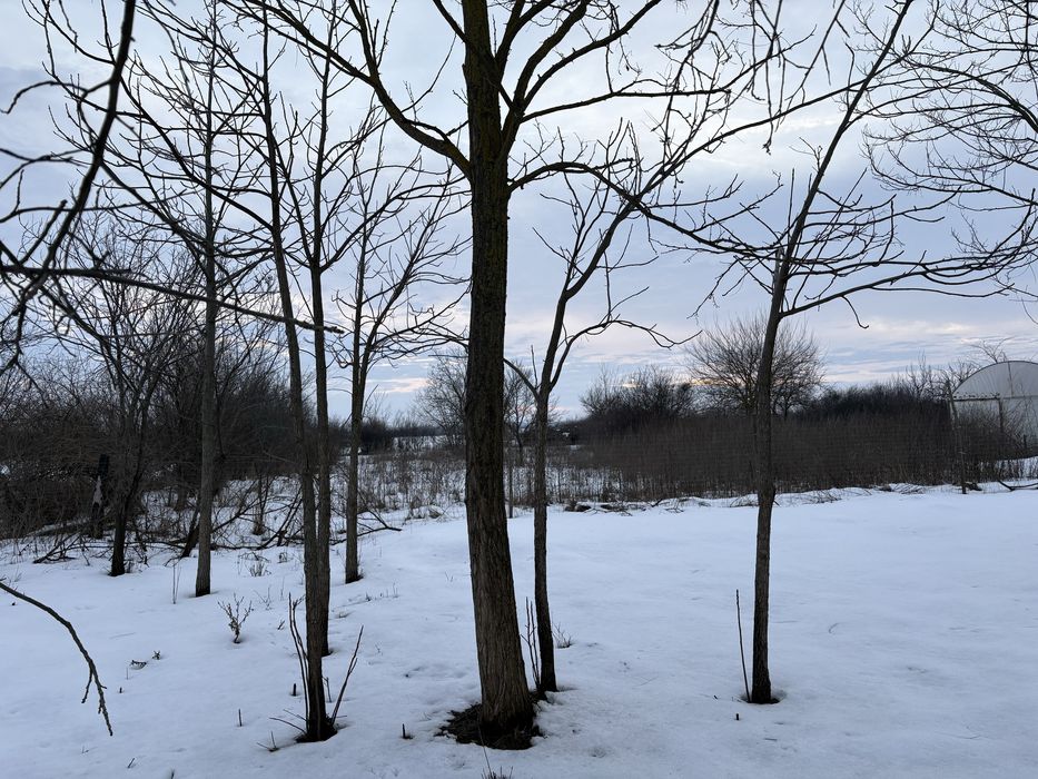 Vând teren intravilan