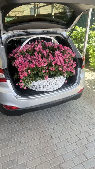 Огромный букет продам, цветы