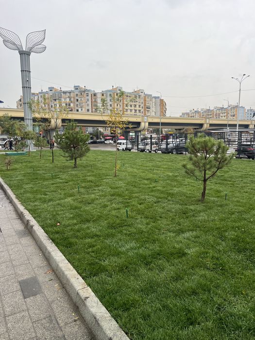 Gazon Birinchi qol Garantiyasi bilan