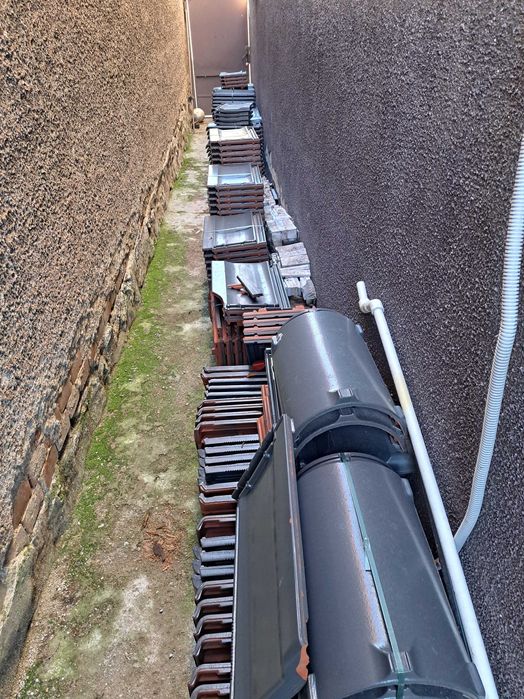 Tigla creaton nomina