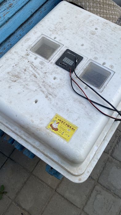 Инкубатор для Несушка