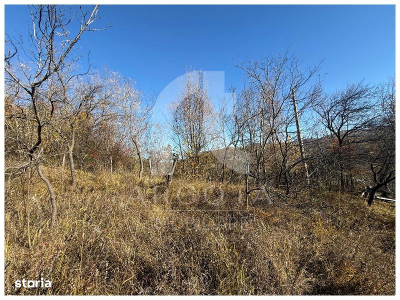 Teren Cozieni - Valea Banului | Comision Zero