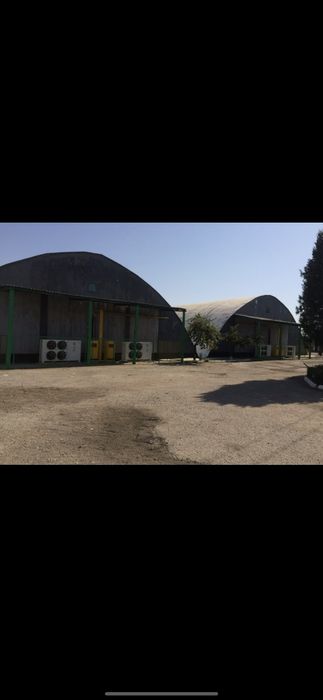 OMBORXONA.UZ. FRUIT HOUSE AL.
 хранения овощей, фруктов,