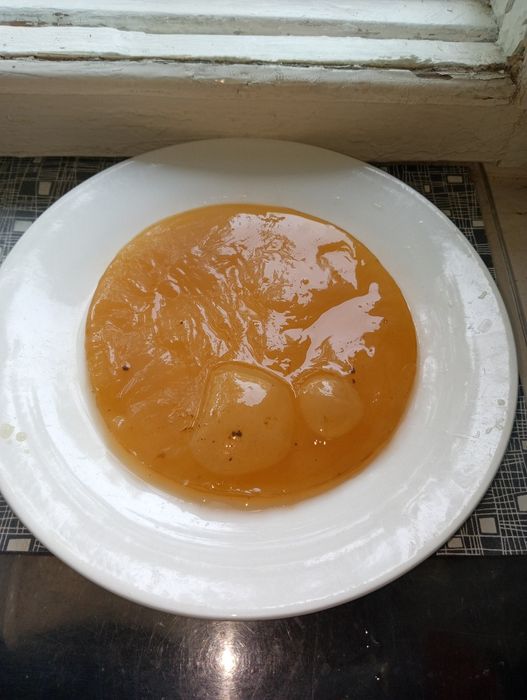 Чайный гриб продам