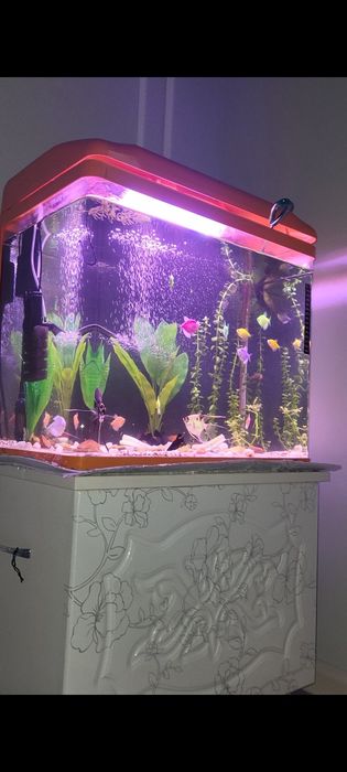 Аквариум для рыбы