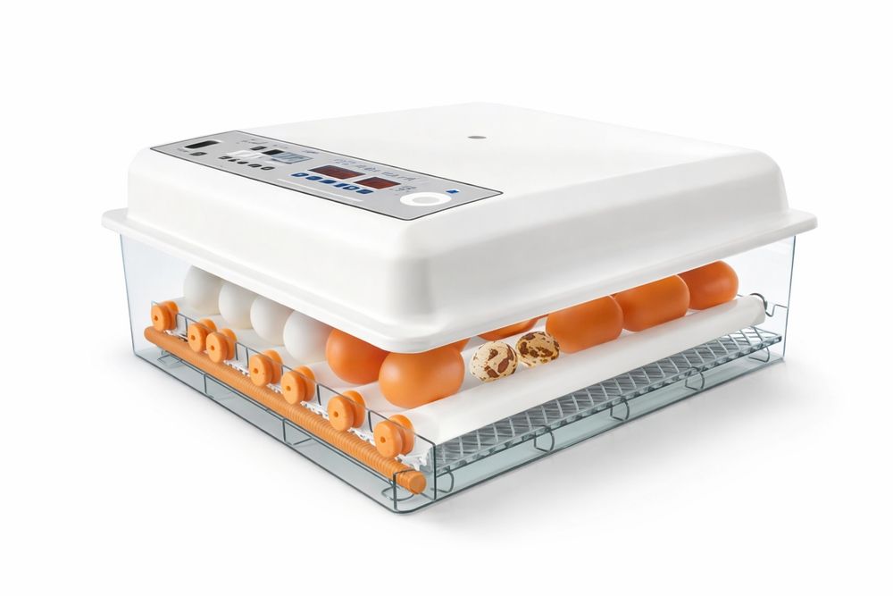 64 ta tuxumga mo‘ljallangan avtomatik inkubator sotiladi