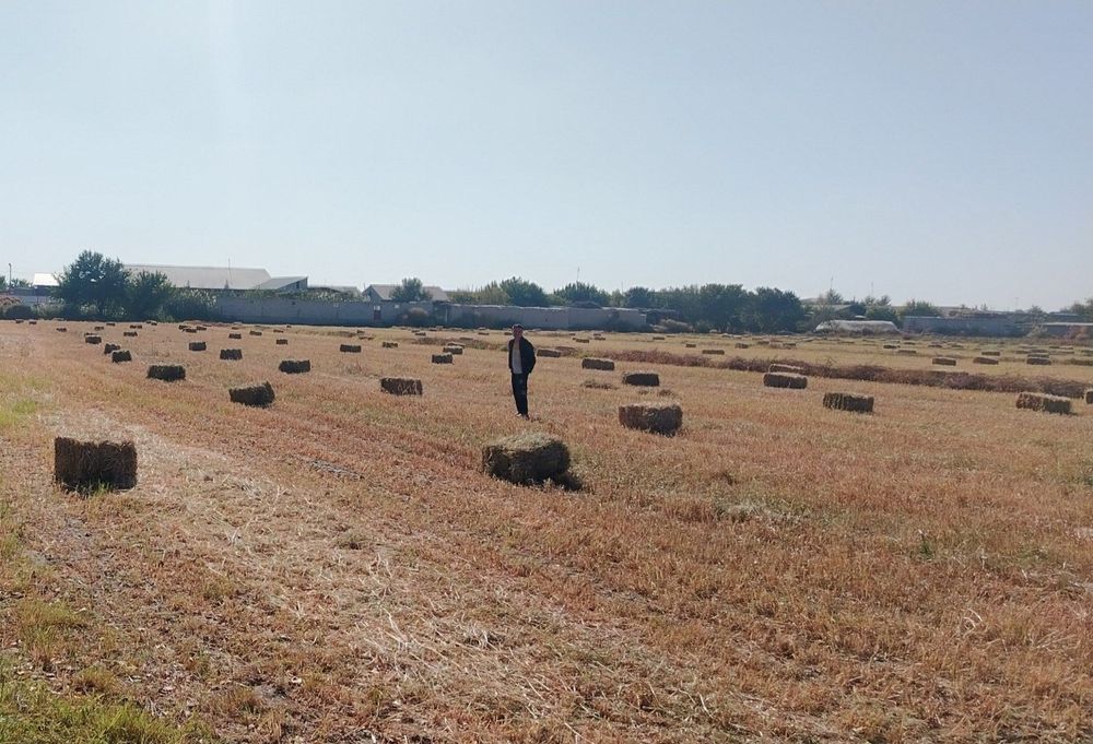 Pres sotiladi Somon, Tariq, Beda, Makka.