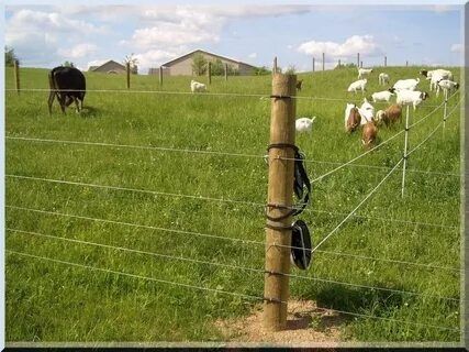 Электропастух для КРС