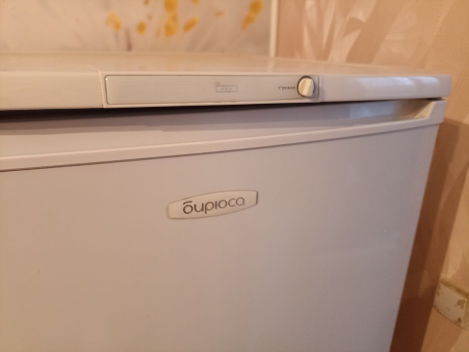 Холодильник Бирюса в Пригородном.