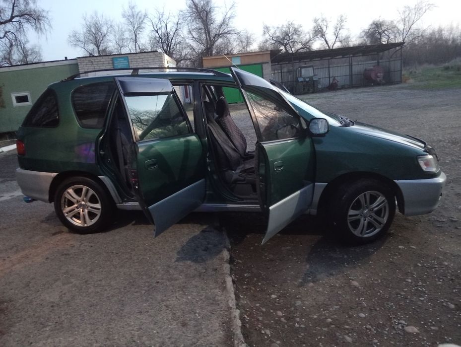 Tayota ipsum, варианты обмена