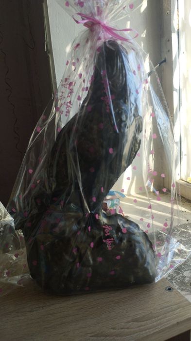 Той бастар гипстан жасалған капилка