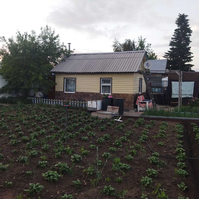 дача сортировка ..