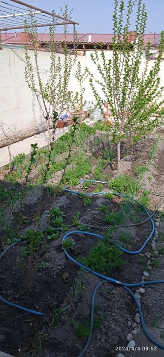 Фаргона шахар, аэропорт коттедж,ховли сотилади. 2сотикли коттедж