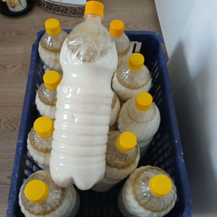 Кумыс  без добавок