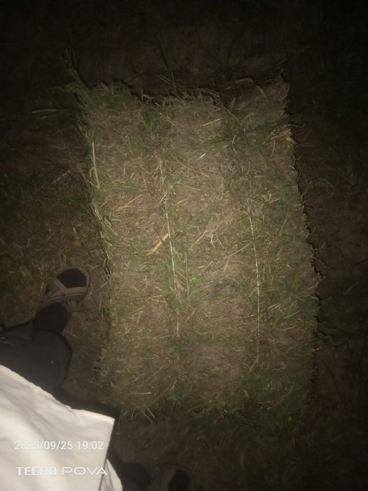 Шөп Сатылады. Бағасы 1600теңге